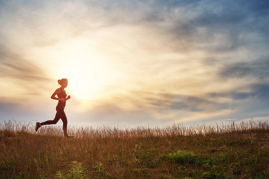 mushroom health benefits, what is wholh mushroom blend