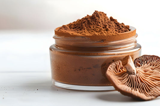 what is reishi, reishi benefits, mushroom benefits